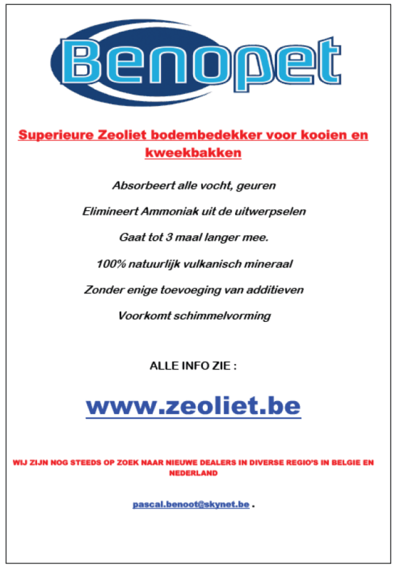 zeoliet